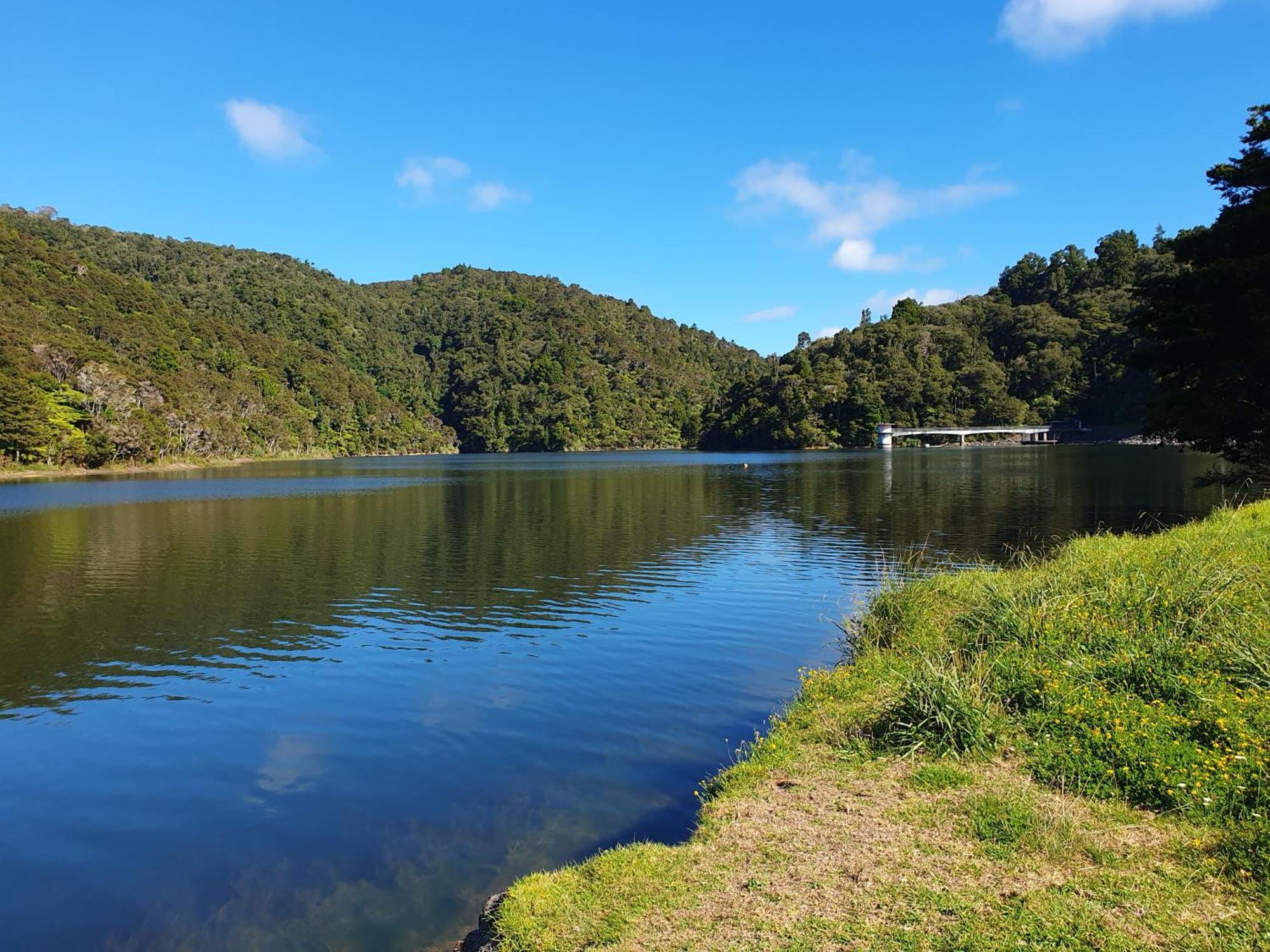 Quiet. Comfy Oasis In Whangarei Exterior photo
